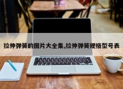拉伸弹簧的图片大全集,拉伸弹簧规格型号表