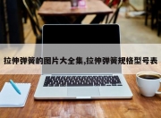 拉伸弹簧的图片大全集,拉伸弹簧规格型号表