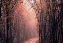 拉伸弹簧产品图片,拉伸弹簧的实际应用