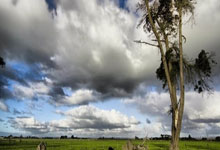 拉伸弹簧产品图片,拉伸弹簧的实际应用