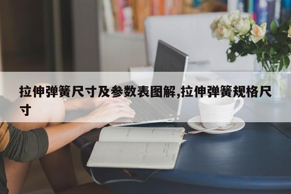 拉伸弹簧尺寸及参数表图解,拉伸弹簧规格尺寸