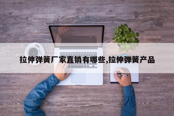 拉伸弹簧厂家直销有哪些,拉伸弹簧产品