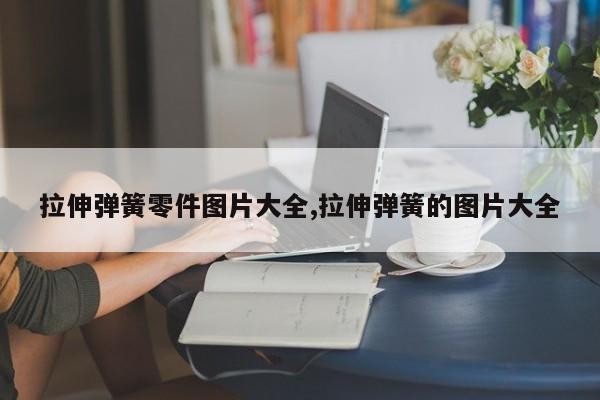 拉伸弹簧零件图片大全,拉伸弹簧的图片大全