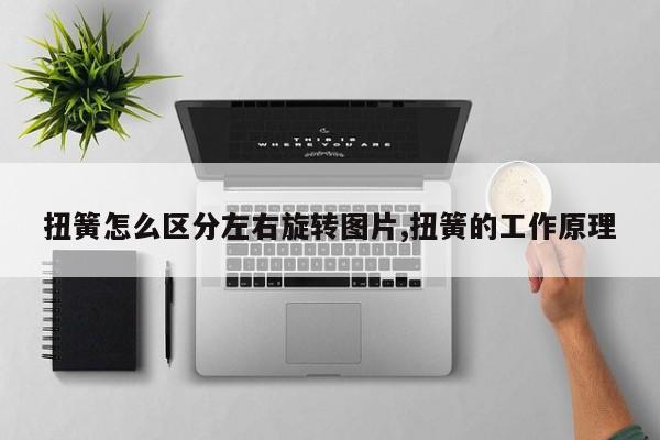 扭簧怎么区分左右旋转图片,扭簧的工作原理