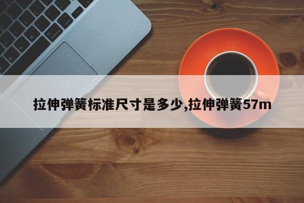 拉伸弹簧标准尺寸是多少,拉伸弹簧57m
